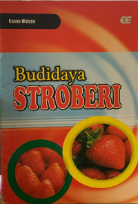 Image of Budidaya stroberi