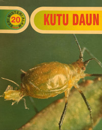 Image of Kutu daun